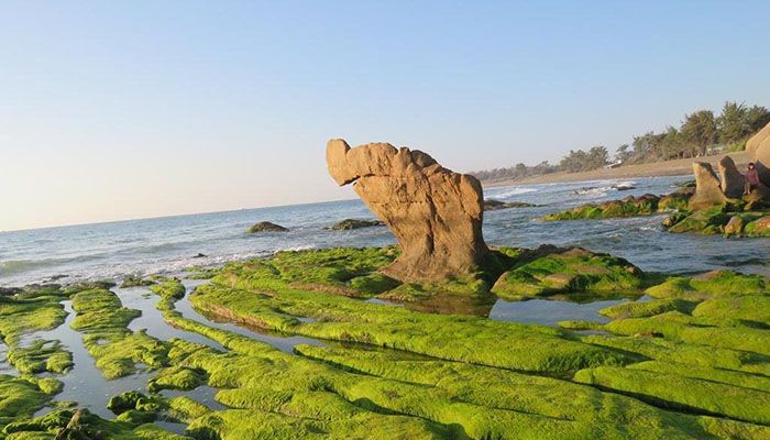 Bảng giá đất huyện Tuy Phong- Phụ lục số 01 Nghị quyết số 85/2019/NQ-HĐND ngày 19/12/2019 của HĐND Tỉnh Bình Thuận